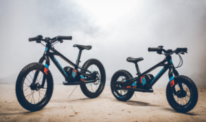 balance 2.PNG
