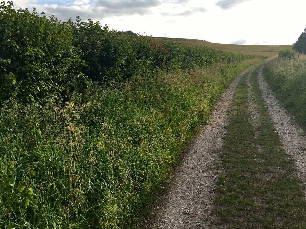 Parallels 15 Closed Road Track.jpg