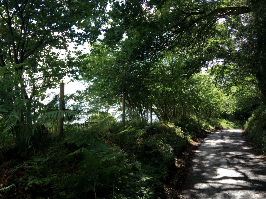 Parallels 29 Dappled Road.jpg