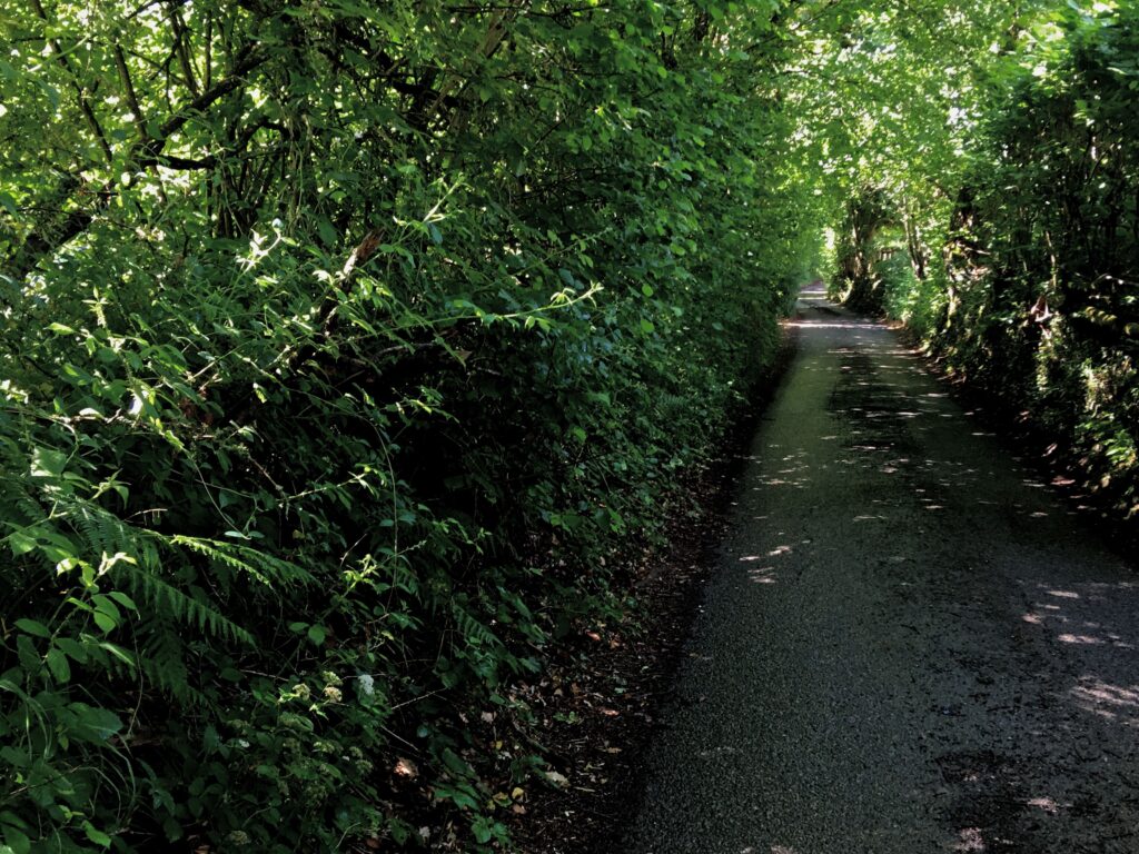 Parallels 34 Hidden Lane.jpg