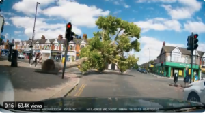 tree falling in london – via twitter.PNG