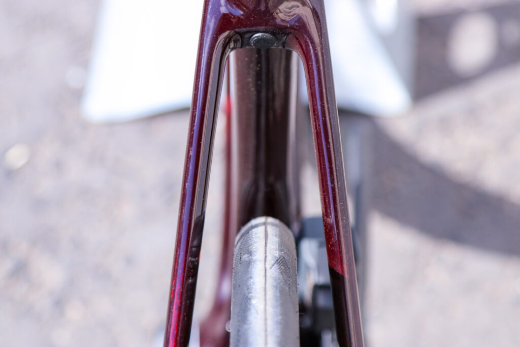 2020 Canyon Endurace CF SLX Disc 8.0 eTap – stays.jpg