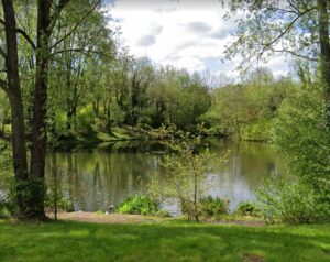 Llantarnam Lakes (via StreetView)