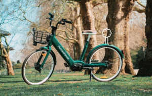 humanforest bikes.PNG