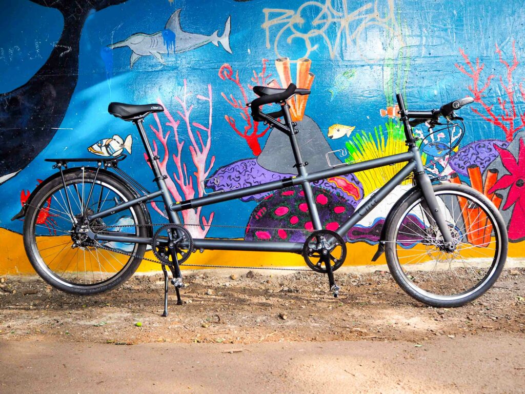 2020 Circe Cycles Eos Tandem – full bike 1.jpg