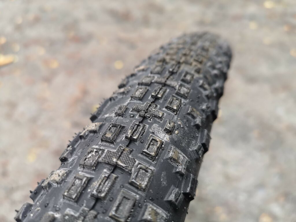 2020 Maxxis Rambler SS 4.jpg