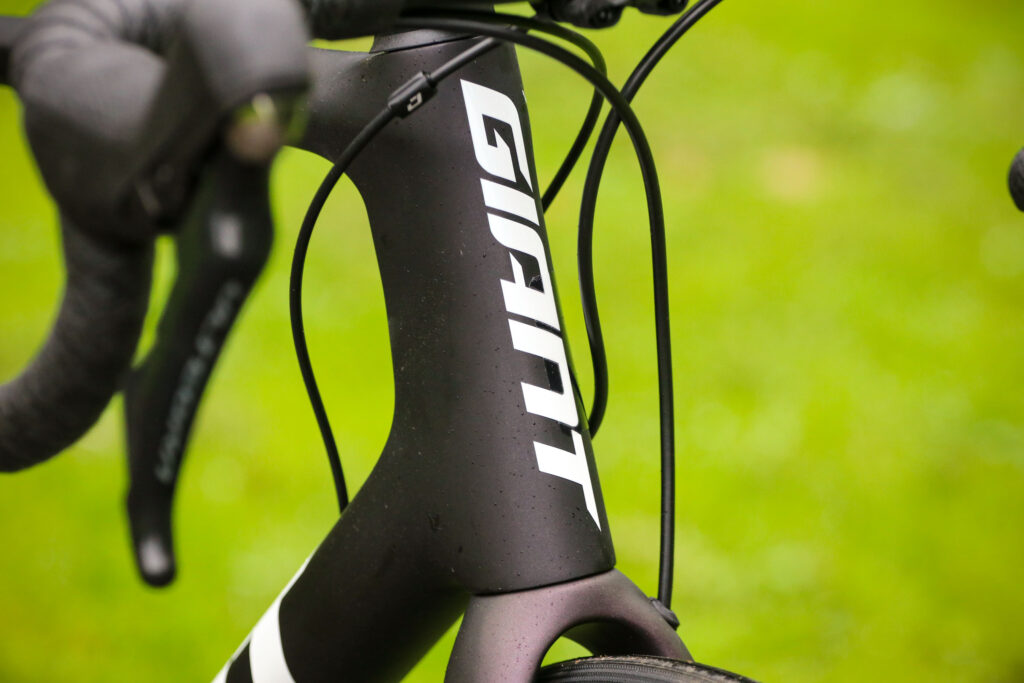 2021 Giant TCR Advanced Pro 1 Disc – head tube badge.jpg
