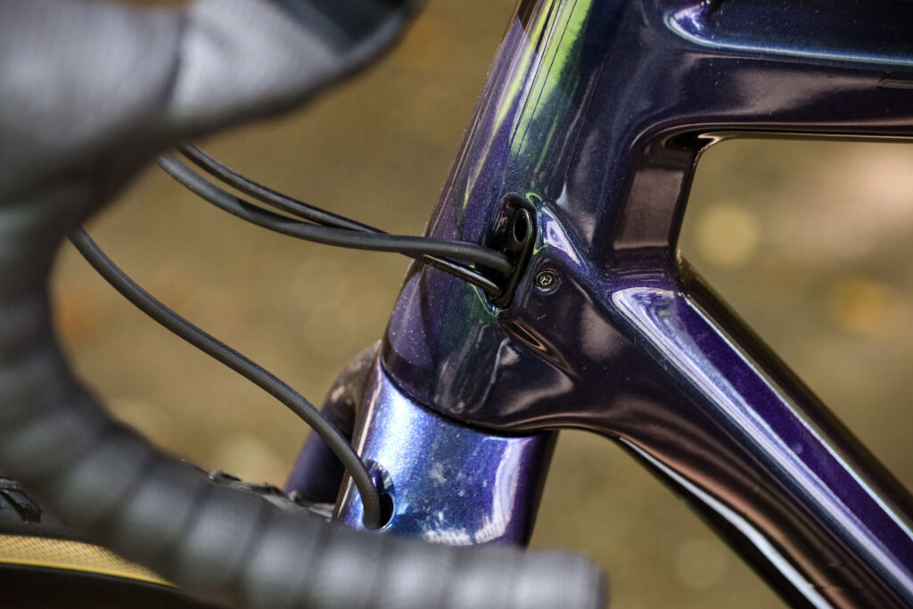 2021 Vitus Energie Evo – cable route.jpg