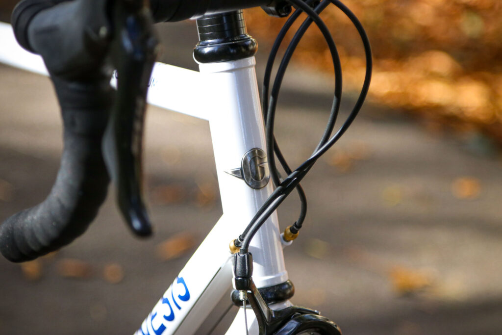 2021 Genesis Equilibrium – head tube badge.jpg