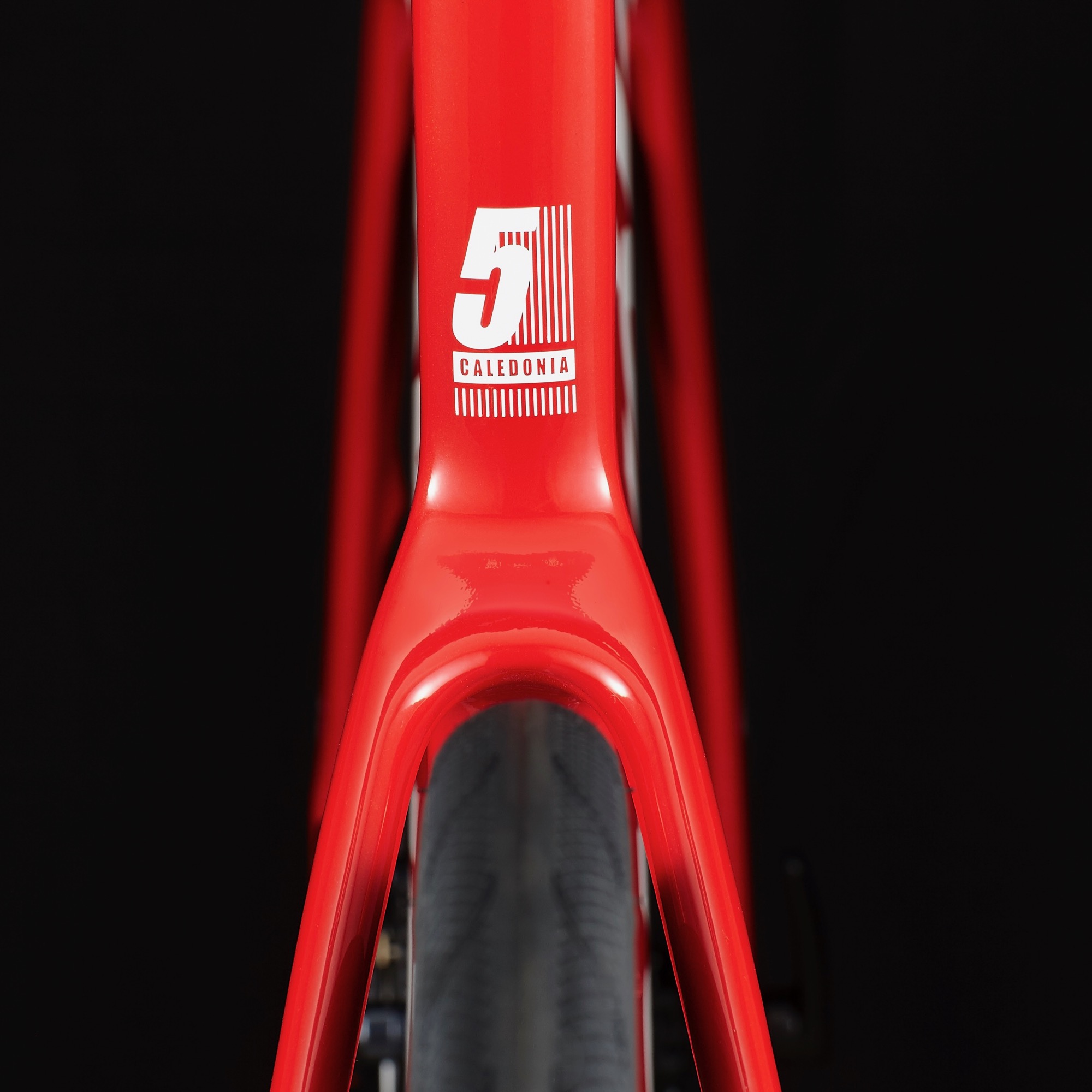 2021 Cervelo Caledonia detail 3