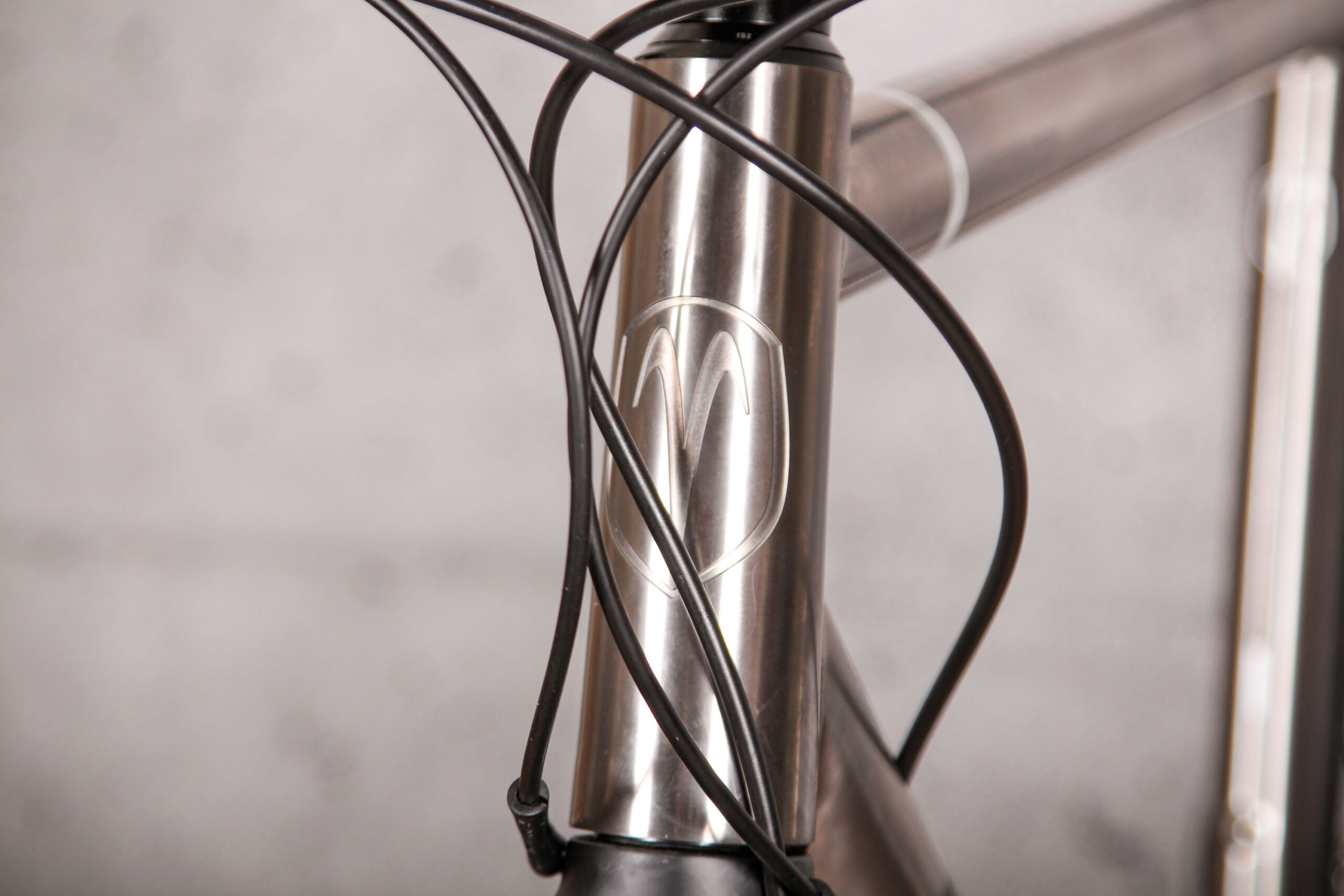 2021 Van Nicholas Ventus &ndash; head tube badge