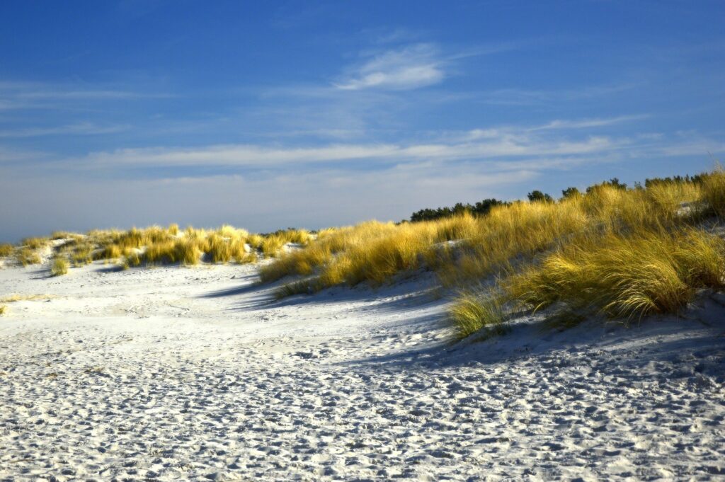 Sand dunes