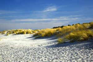 Sand dunes