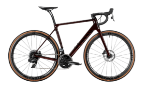 2021 canyon endurace main.PNG