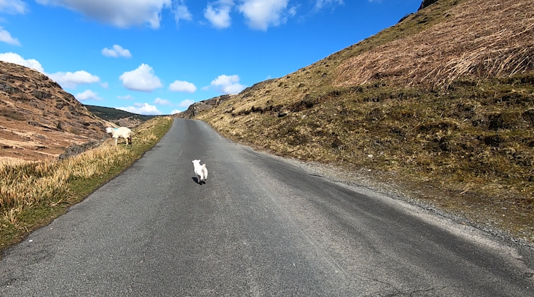 Matt Page road.cc recommends route screngrab