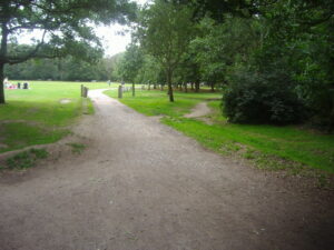 Sheen Common