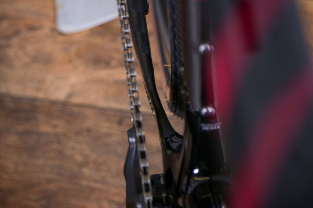 2021 Specialized Diverge Expert Carbon – chain stay.jpg