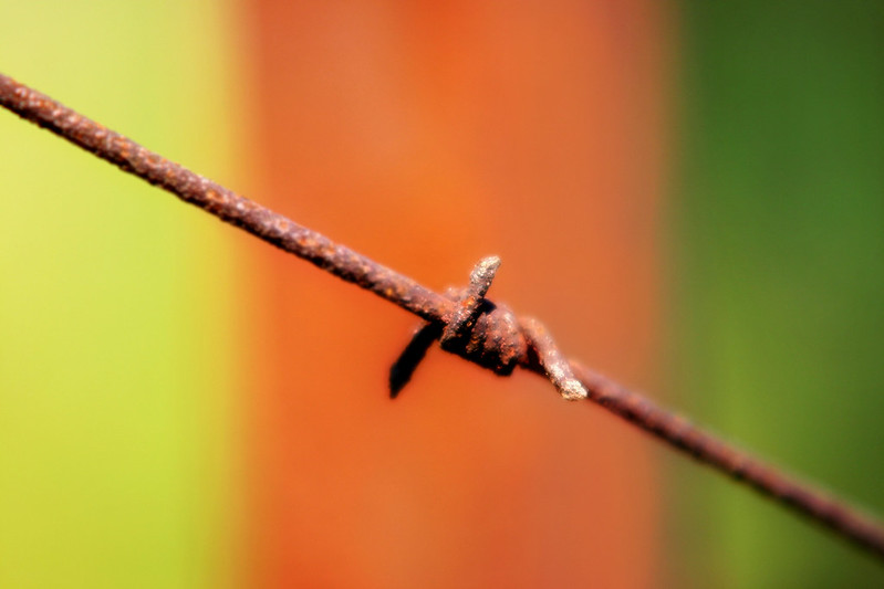 metal wire – via Flick Creative Commons