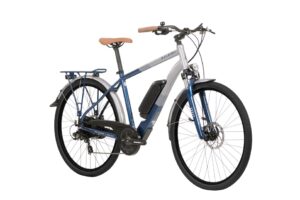 Raleigh Array