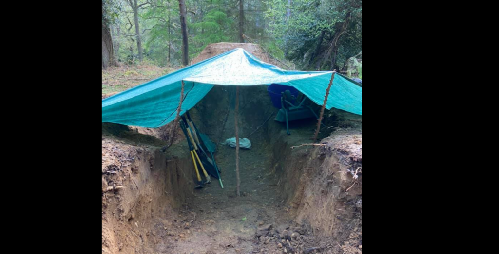 New Forest mountain bike trail