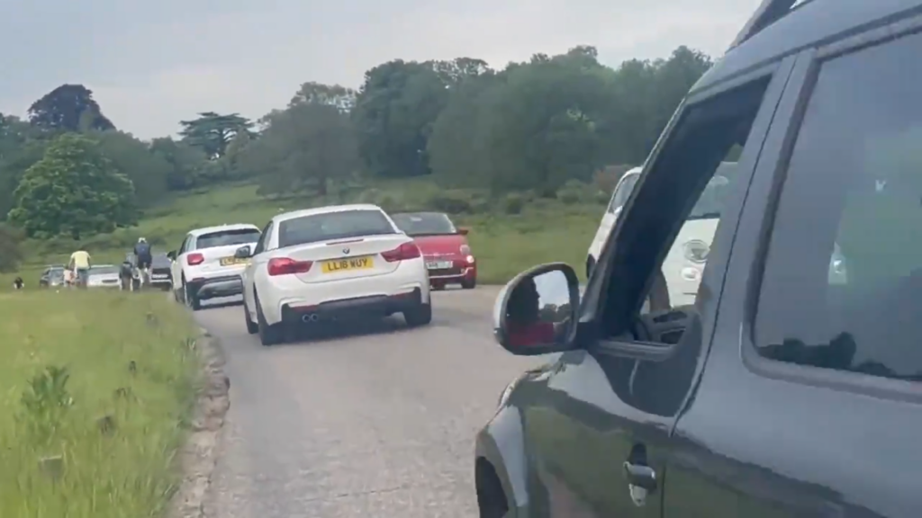 Richmond Park traffic.PNG