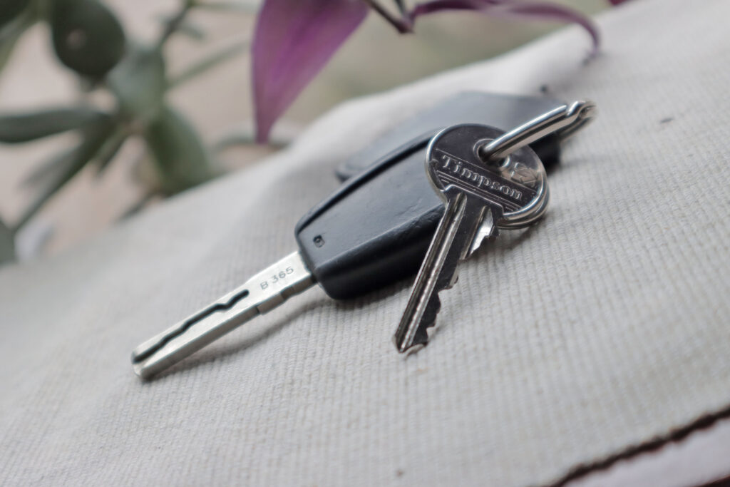 Car and house keys.JPG