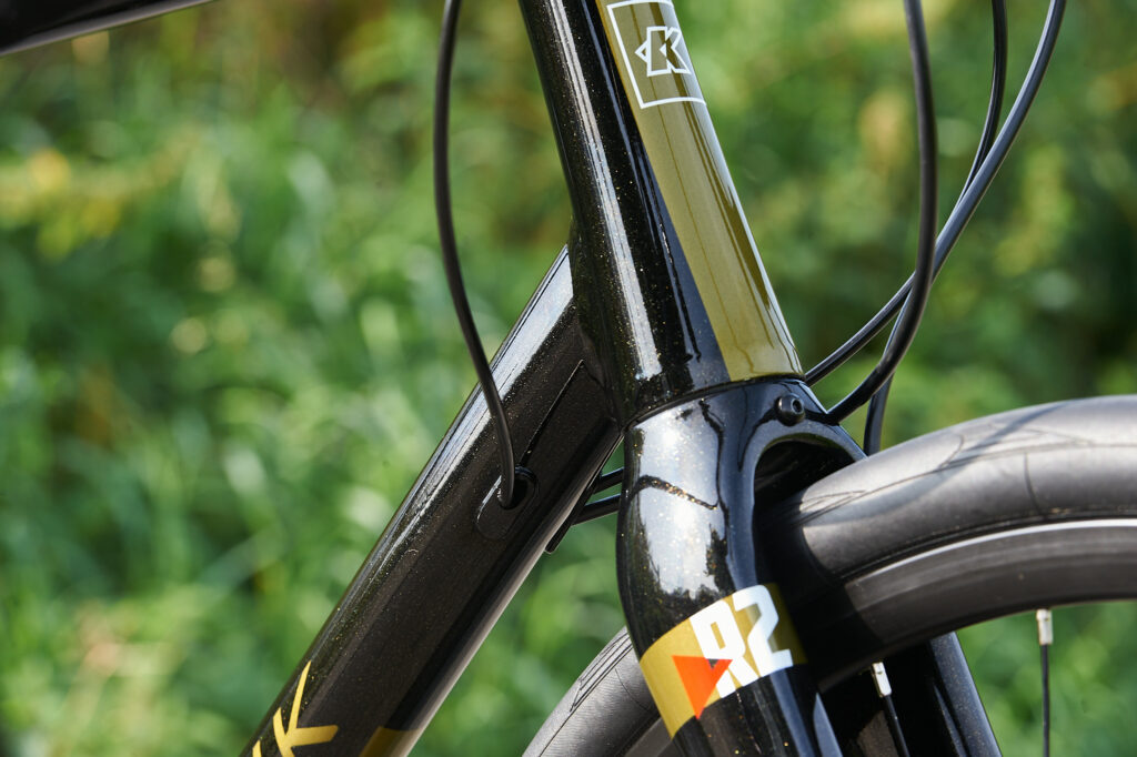 2021 Kinesis R2 – paint detail.jpg