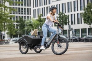 Cube Dynamic Cargo