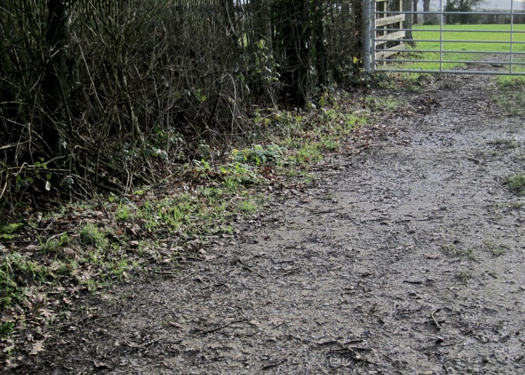 Muddy Gate.jpg