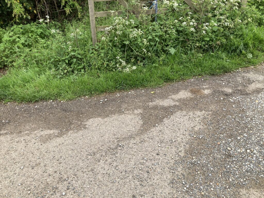 Warminghurst Wee Spot.jpg