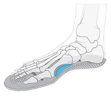 Specialized Longitudinal Arch
