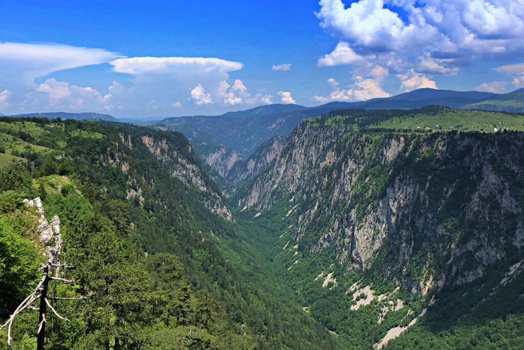 montenegro  durmitor 5