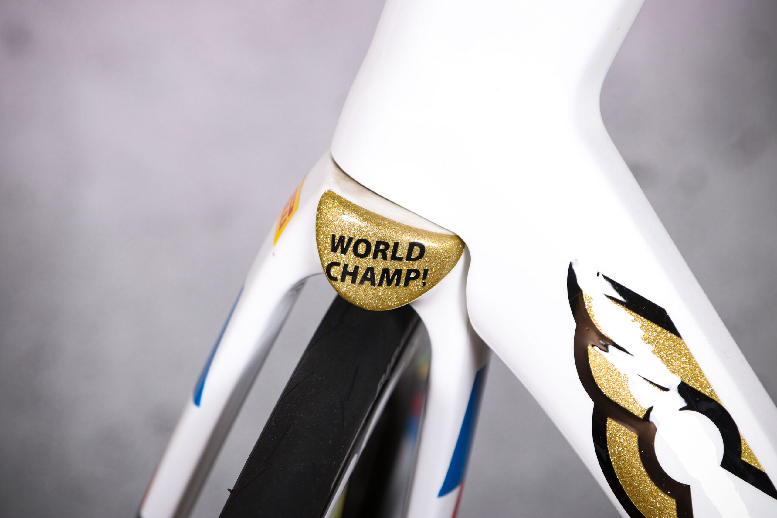 2021 Cinelli Pressure &ndash; Filippo Baroncini U23 World Champion bike &ndash; World Champ fork detail