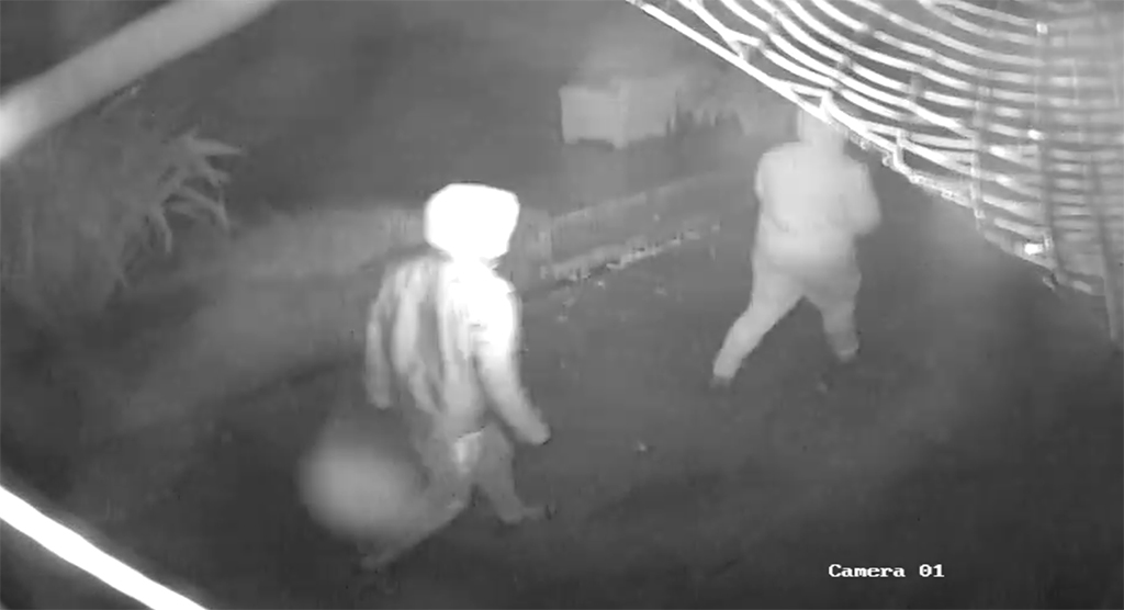 Mark Cavendish burglary