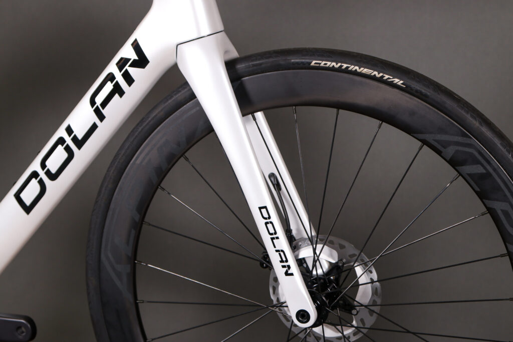 2022 Dolan Ares Disc – fork.jpg