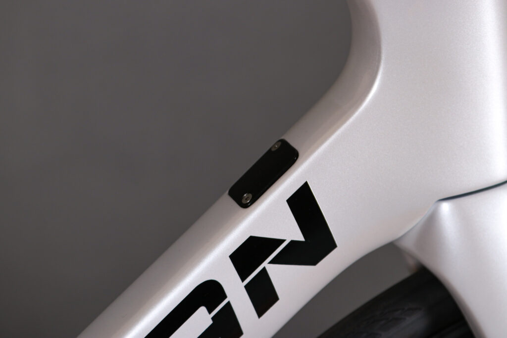 2022 Dolan Ares Disc – frame detail.jpg