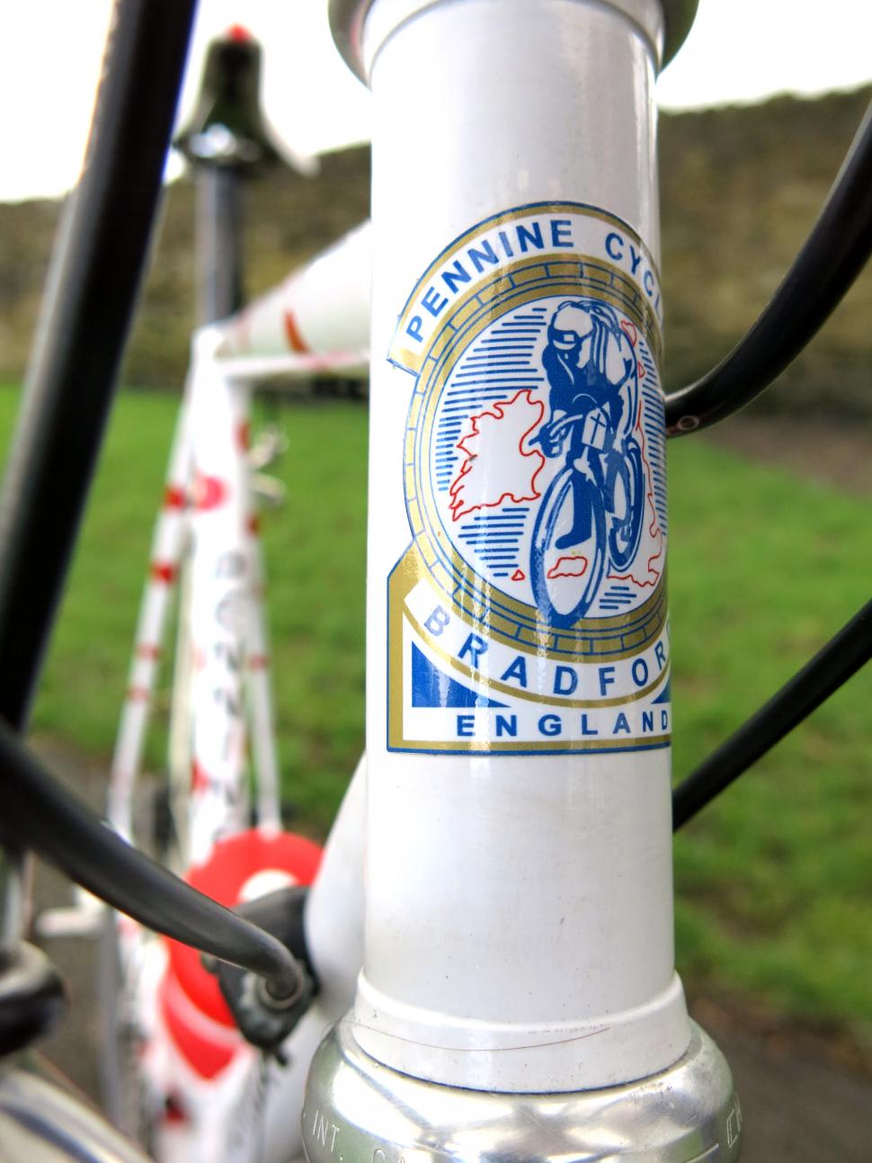 Pennine Bikes Yorkshire polka head tube_0