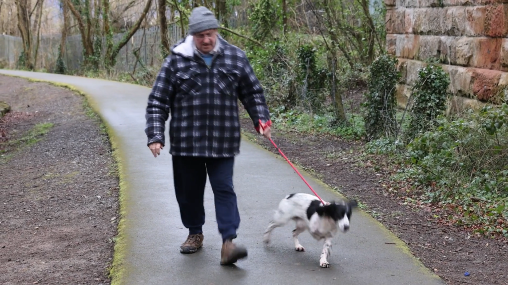Bangor dog needs leg amputating after shared-use path collision