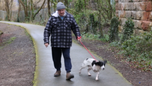Bangor dog needs leg amputating after shared-use path collision