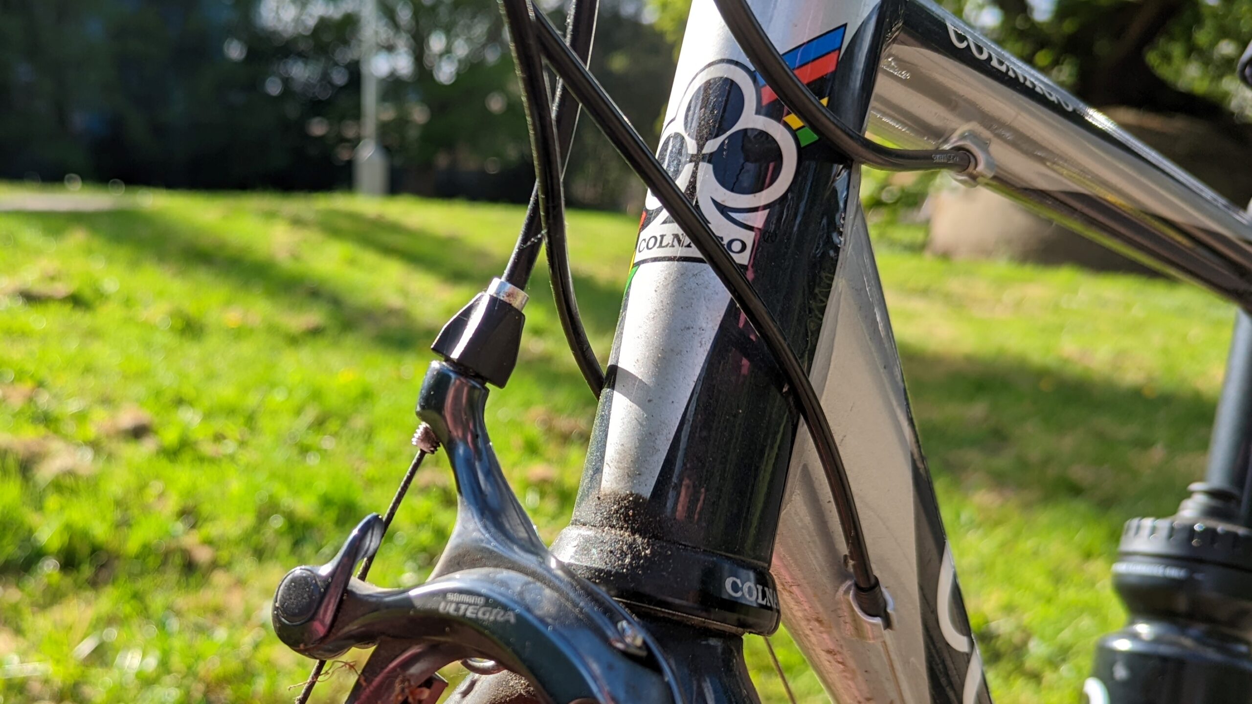 Colnago Arte 10