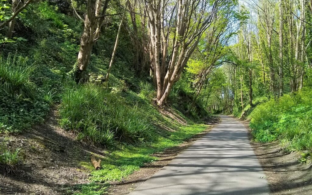 Rodwell Trail (Dorset Council)