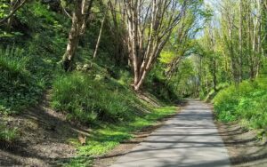 Rodwell Trail (Dorset Council)