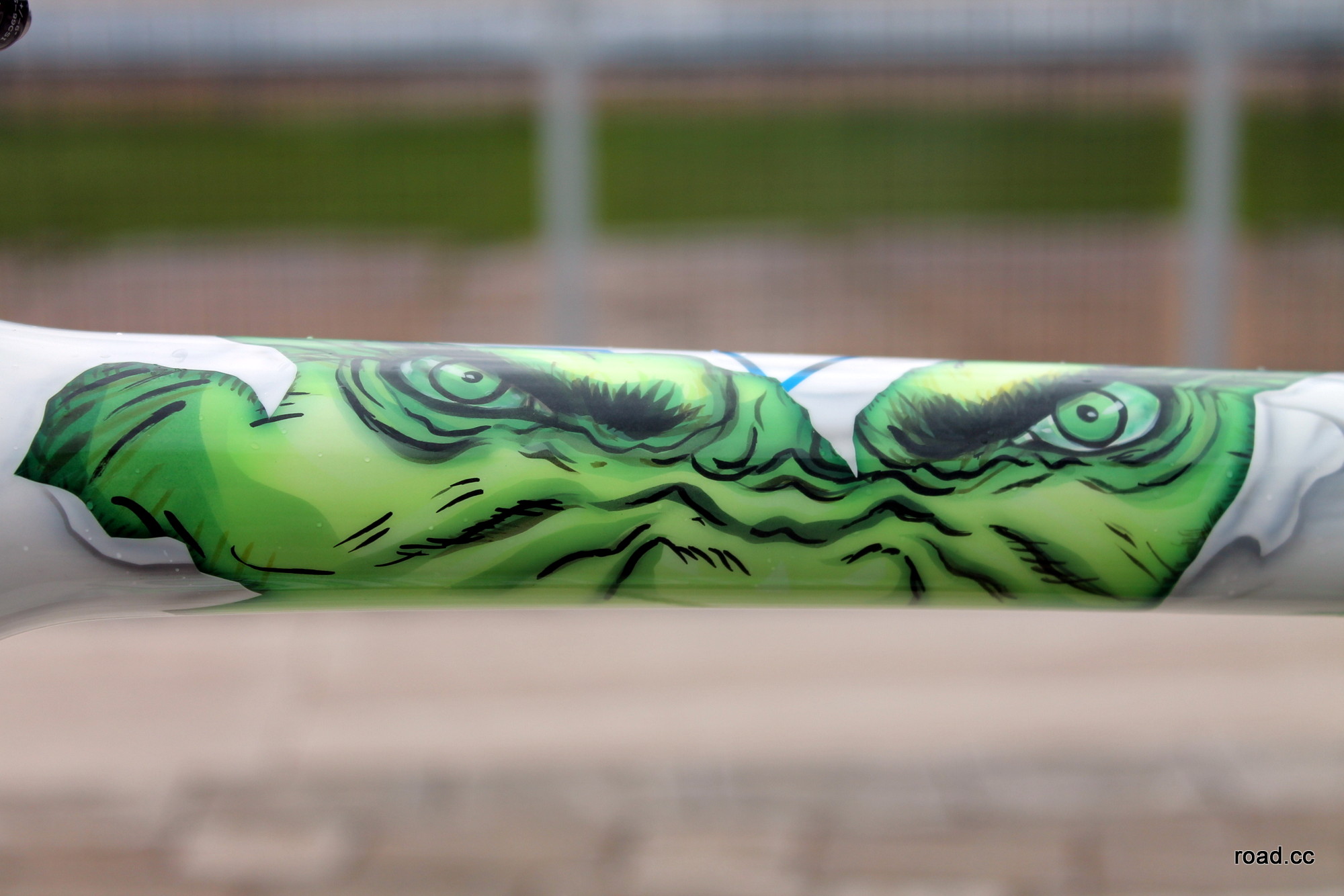 Cannondale Peter Sagan custom Hulk – the eyes