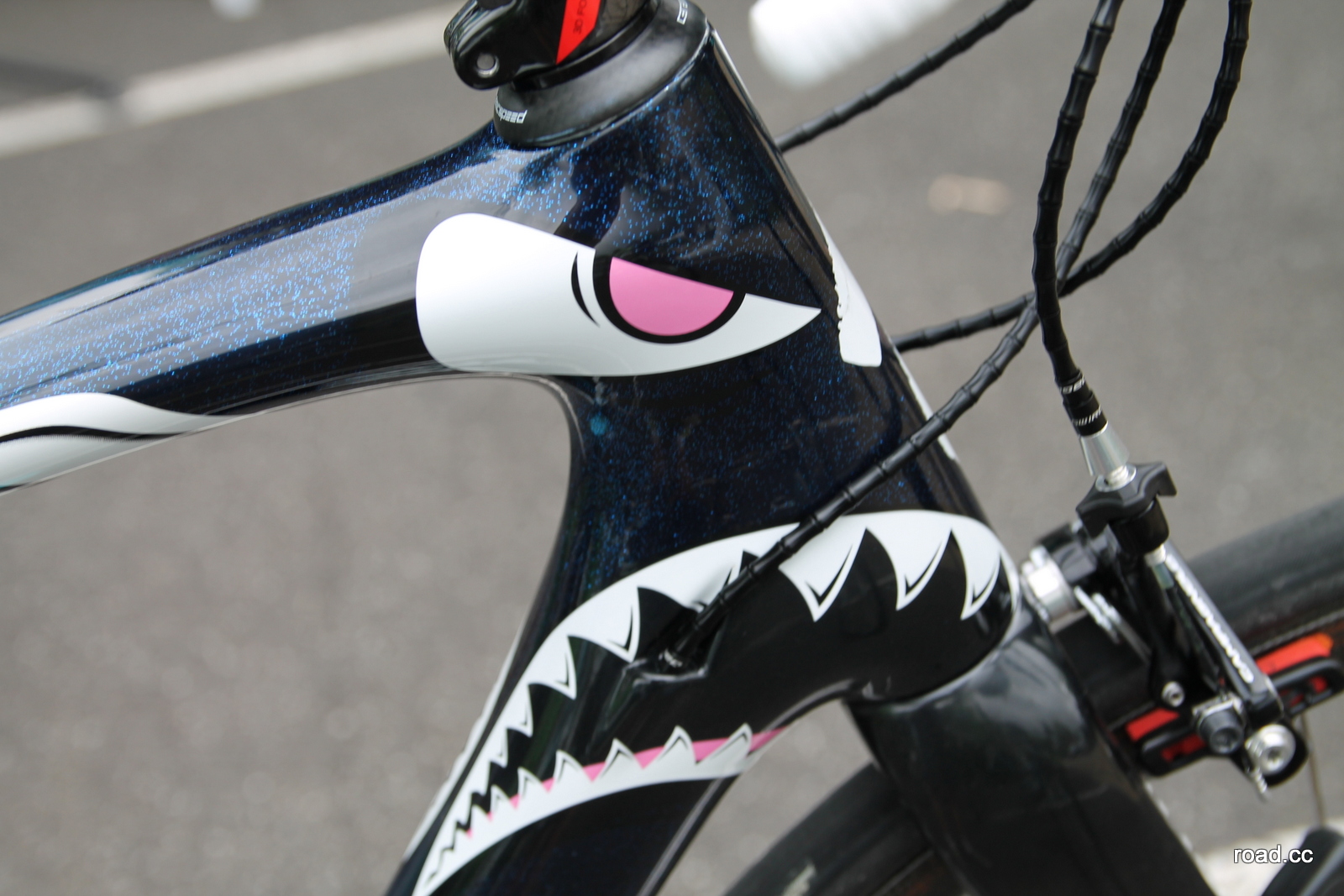 Vincenzo Nibali head tube