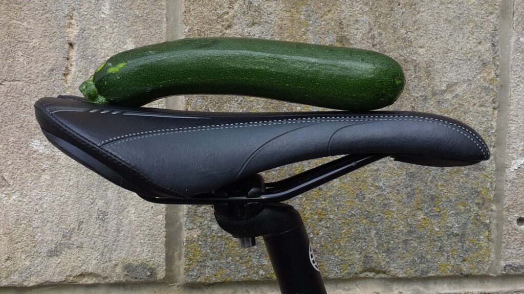 Saddle – erectile dysfunction.jpg
