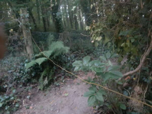 Wire that caused Sean Nolan to crash