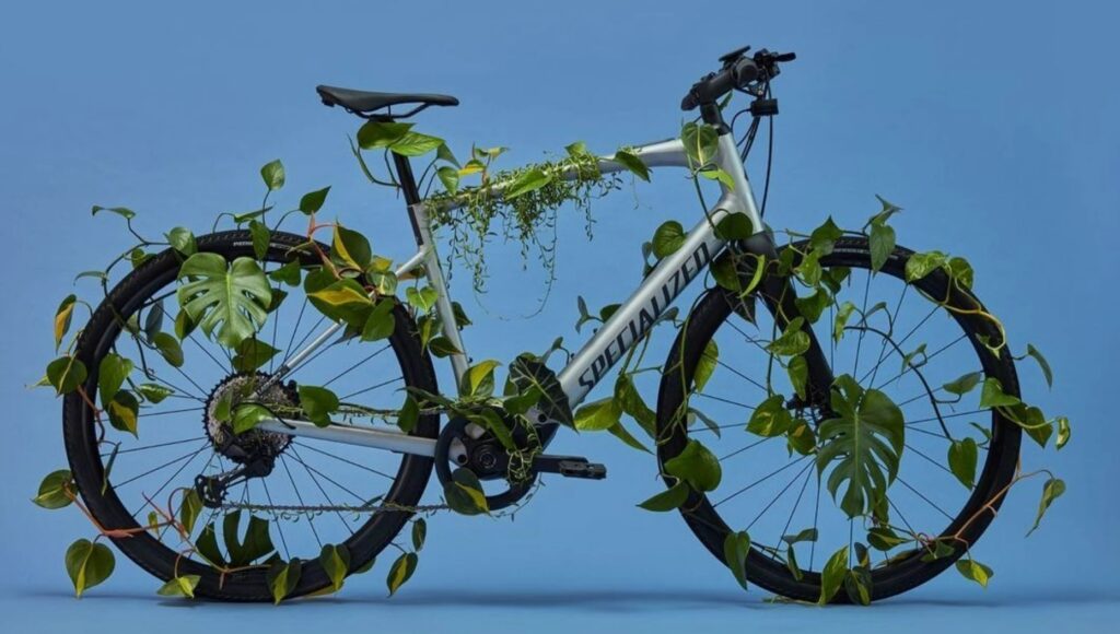 2022 Specialized hybrid bike green leaves eco