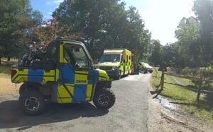 Richmond Park dog crash