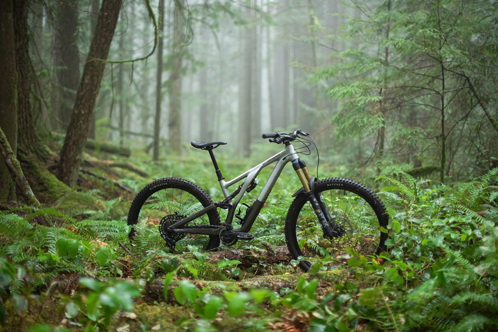 2022 Specialized Mountain Bike environment