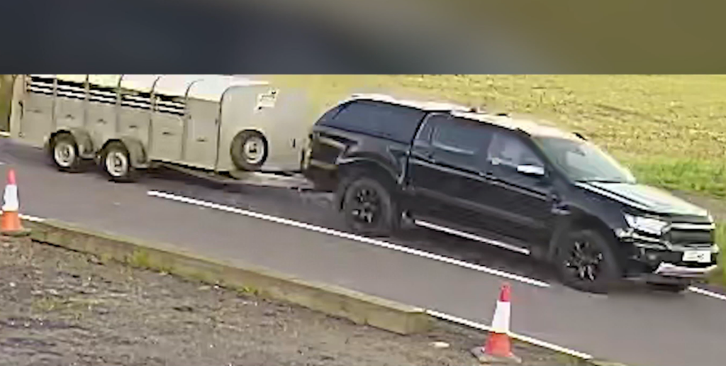 Christina Mackenzie hit-and-run suspect